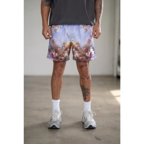 MADE IN HEAVEN MESH SHORTS