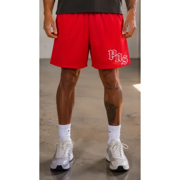 RUBY MESH SHORTS